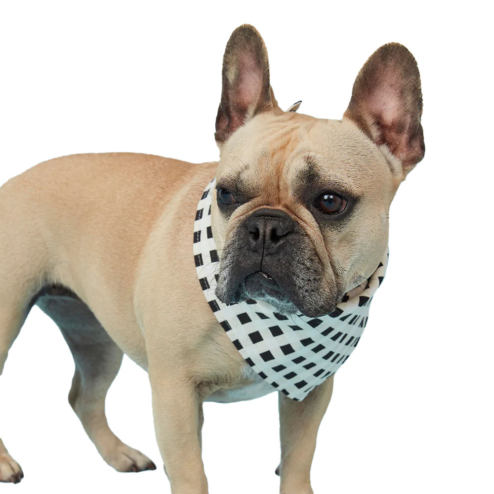 Pooch & Hound The Bandana